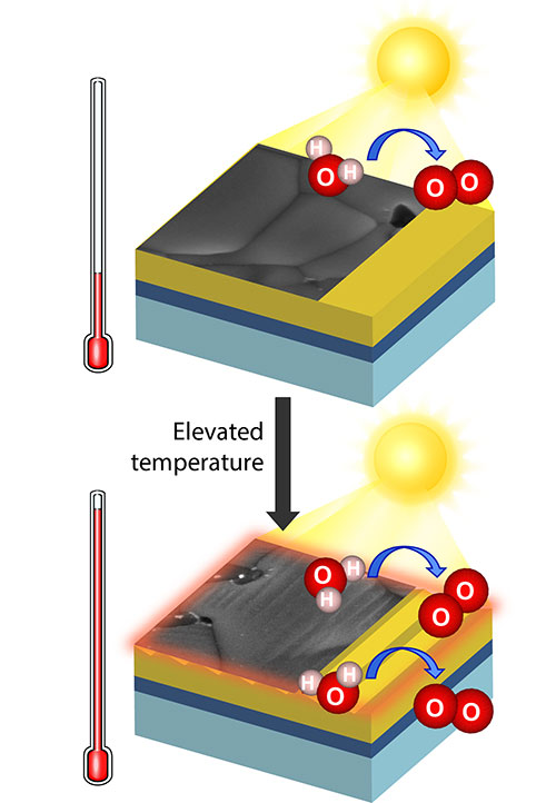 Photoelectrochemical reactions