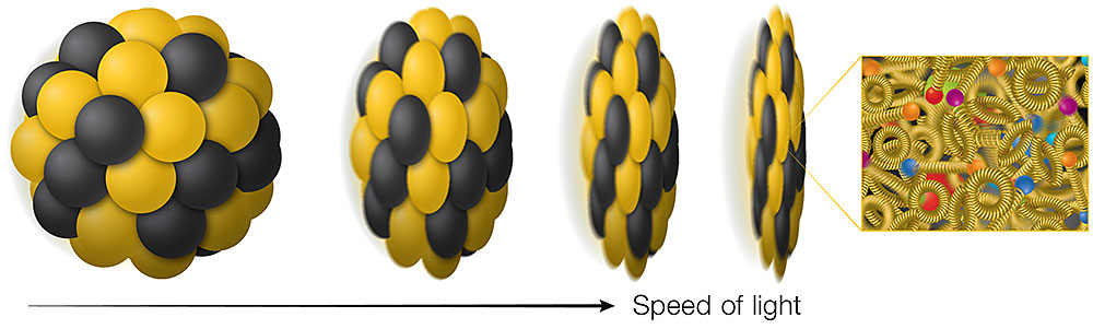 flattened gluon pancakes