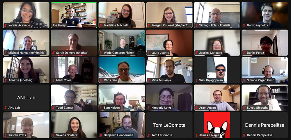 Screenshot of SUPER participants during virtual symposium