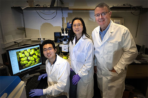 Photo of Yuanxue Liang, Xiao-Hong Yu, and John Shanklin