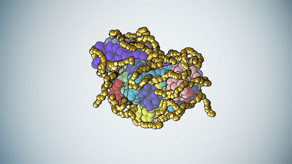 Proteins illustration