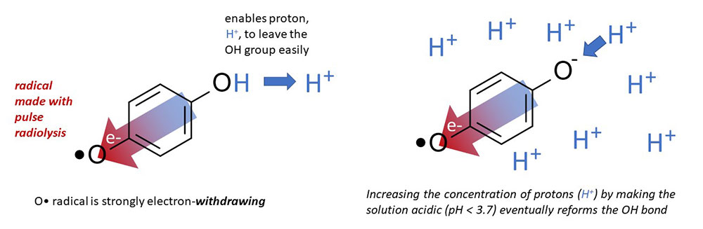 Molecule diagram