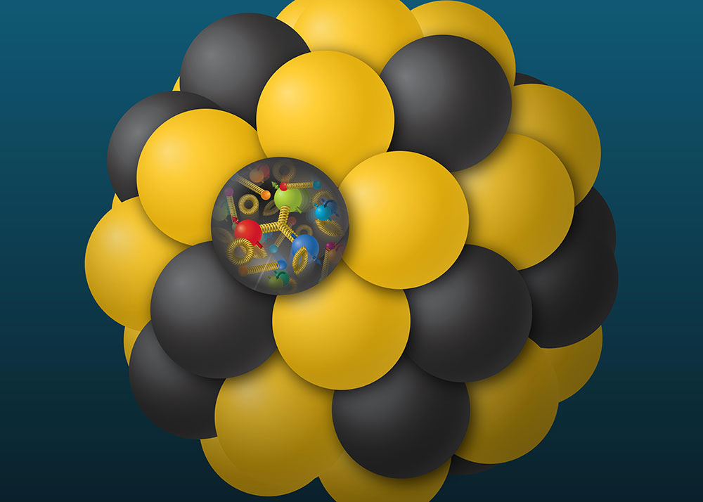 Quarks and gluons inside a nucleus