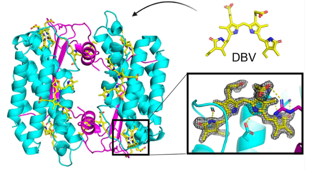 Crystal structure rendering