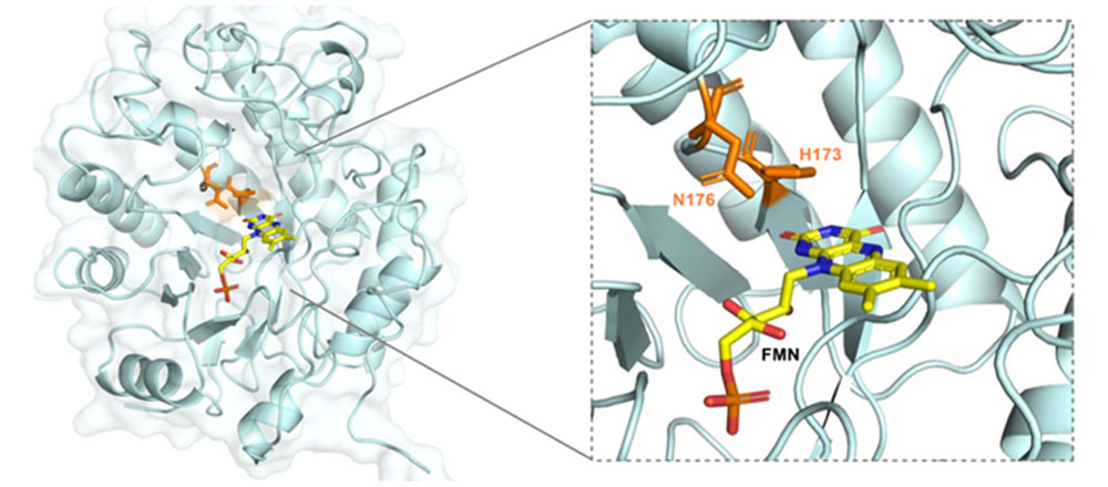 Schematic of crystal structure