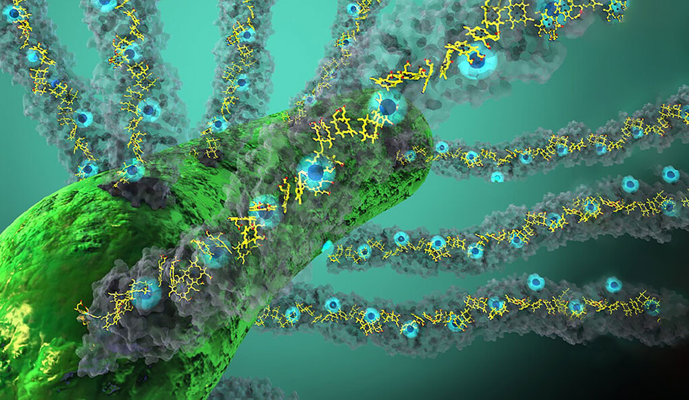 Illustration of bacteria producing nanowires