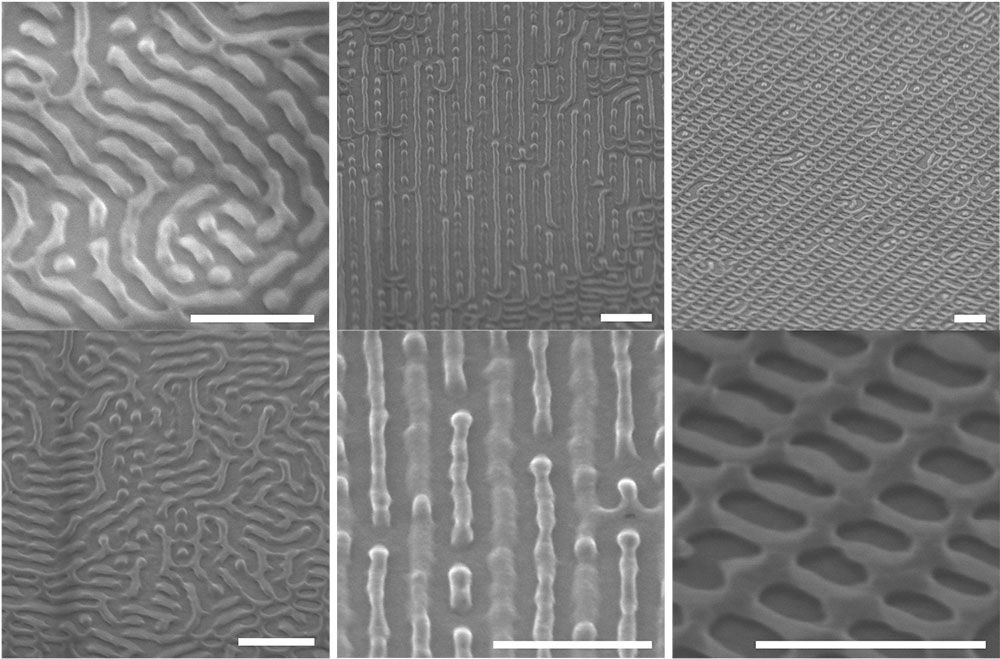 Scanning-electron microscopy images