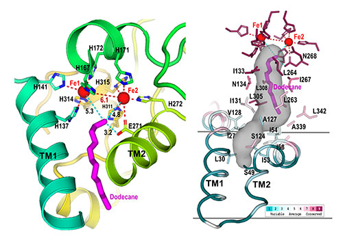 schematic