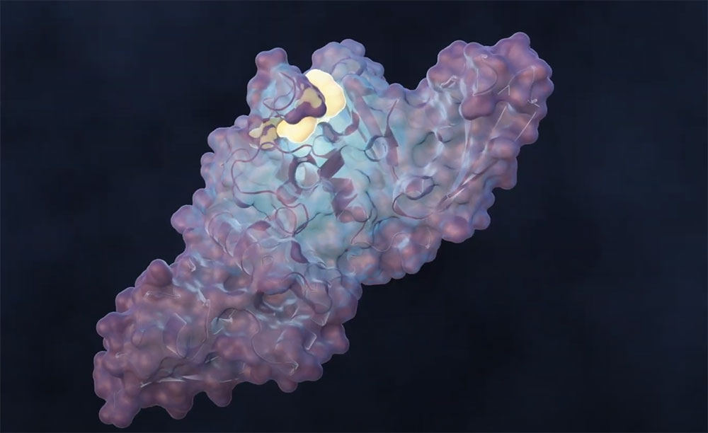 Molecule rendering