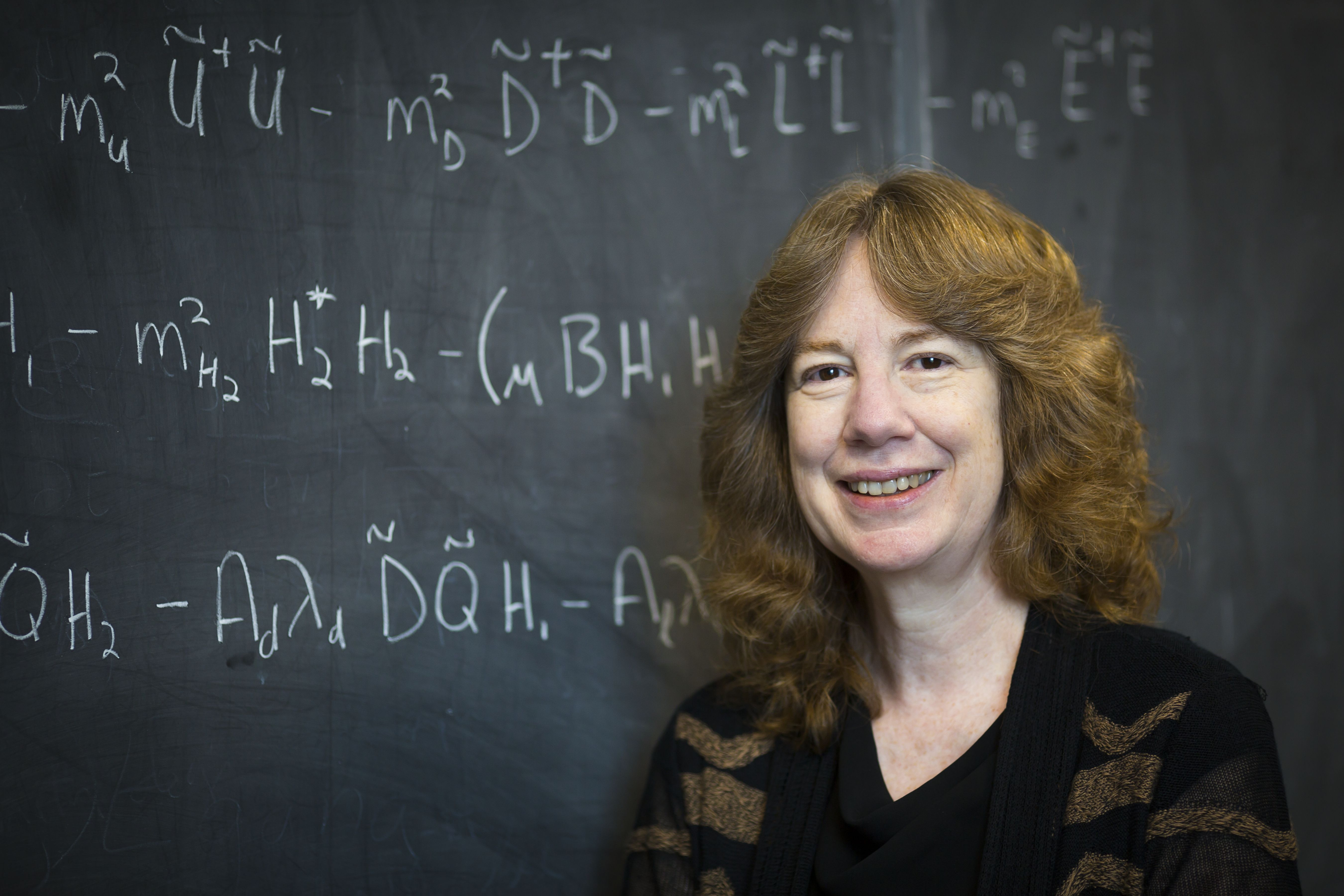 JoAnne Hewett Named Director Of Brookhaven National Laboratory BNL JoAnne Hewett Named Director Of Brookhaven National Laboratory BNL