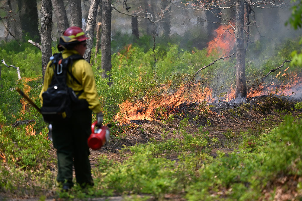 Firefigher holding ignition device with fire line in the background