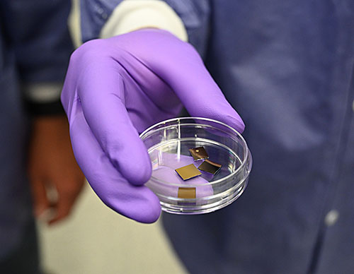 Samples of the transition metal dichalcogenides