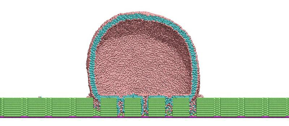 cross section