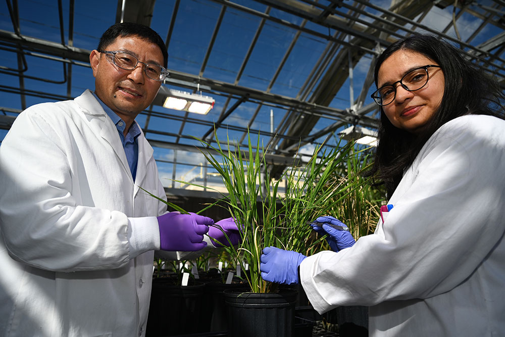 Chang-Jun Liu (left) and Nidhi Dwivedi (right)