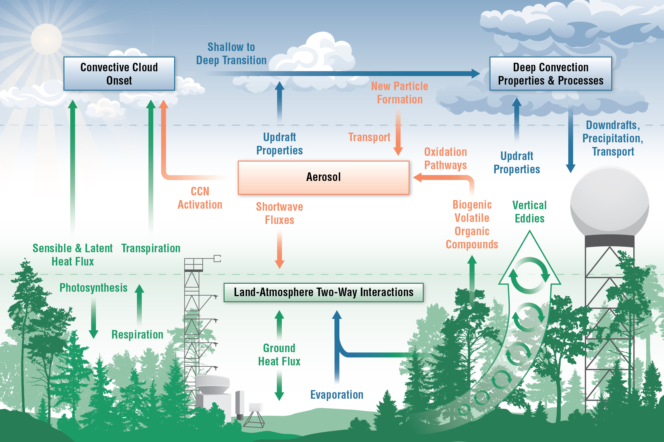 This schematic shows three main topical areas scientists plan to study with instruments deployed in and around the Bankhead National Forest: aerosols, convective clouds, and land-atmosphere interactions. They are particularly interested in gathering data to better characterize how these systems interact. 