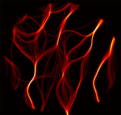 borders of magnetic domains accumulate over time represented by red lines