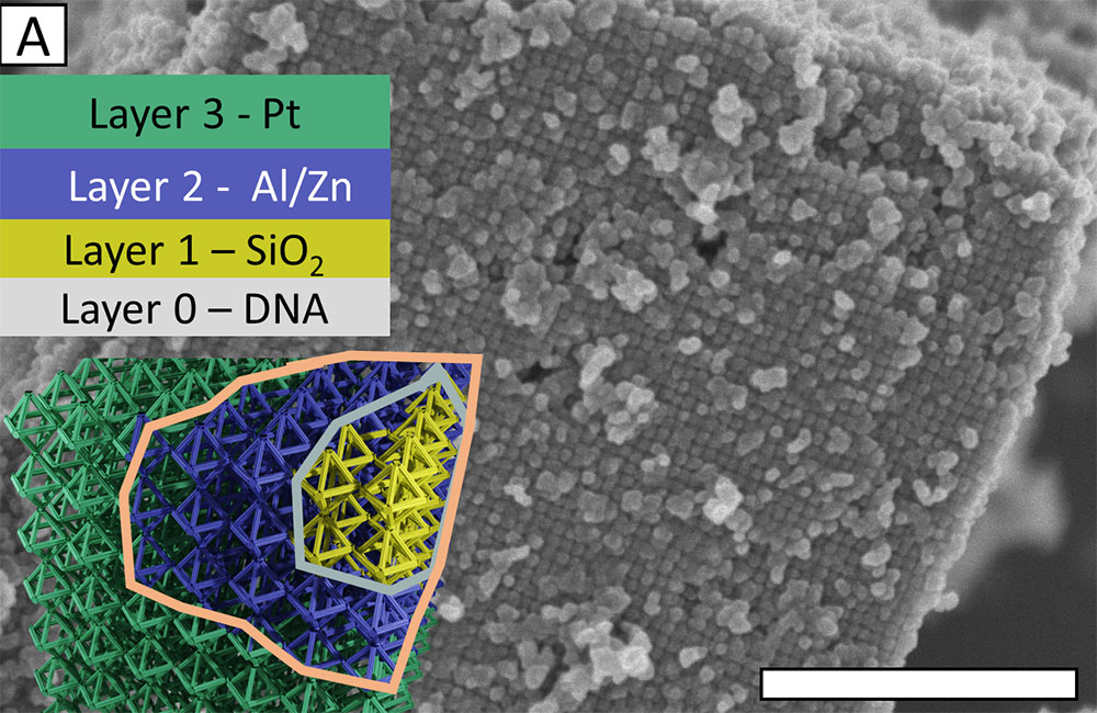 Nanostructure electron microscope image