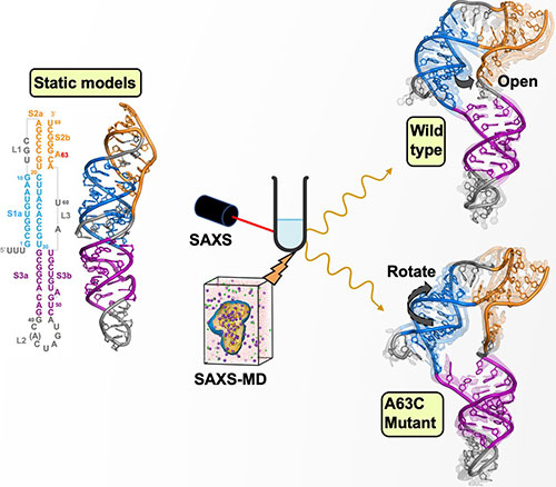 Static model structures