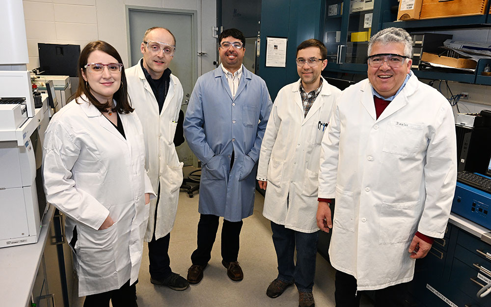 Brookhaven Lab researchers