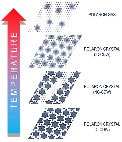 Phases of crystallization