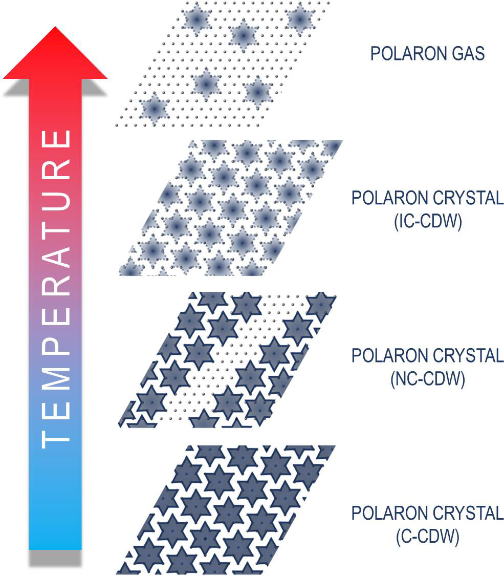 Newswise: Putting a New Spin on 1T Phase Tantalum Disulfide