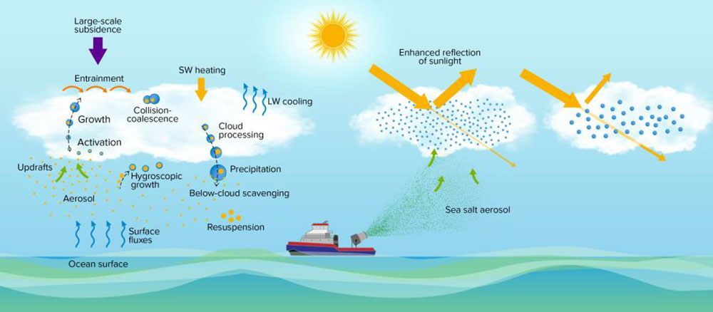 diagram depicts the key aerosol, cloud, dynamics, and radiation processes in the marine boundary lay