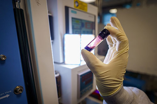 Gloved hand holds a vial containing a deep purple-red liquid.