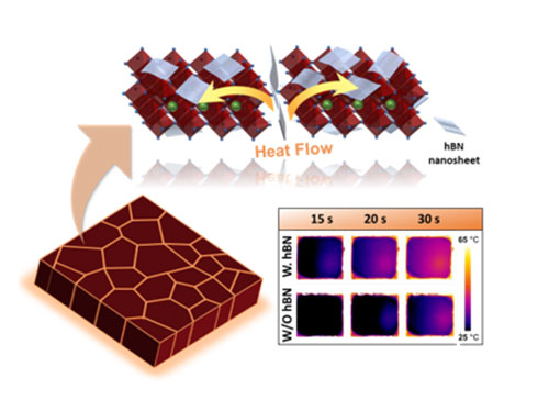 nanosheets
