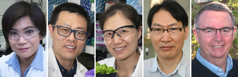 Five portraits of scientists