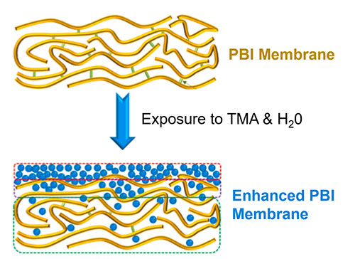 TMA/water vapor exposures