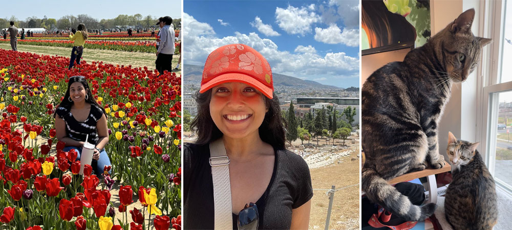 A woman sits on one knee amid a bed of red and yellow tulips; a woman in an orange cap takes a selfi