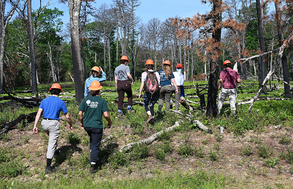 Eight young adults walk into the woods, their backs toward the camera. They wear long pants and oran