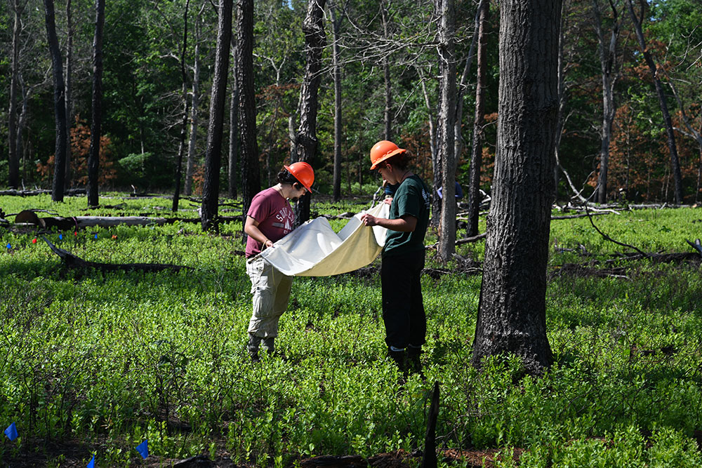Two young men, one in red, the other in green, both in orange hard hats, crane their necks over a wh