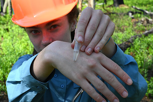 A woman wearing a long-sleeve blue shirt and orange hard hat looks into the camera. Only her eyes an