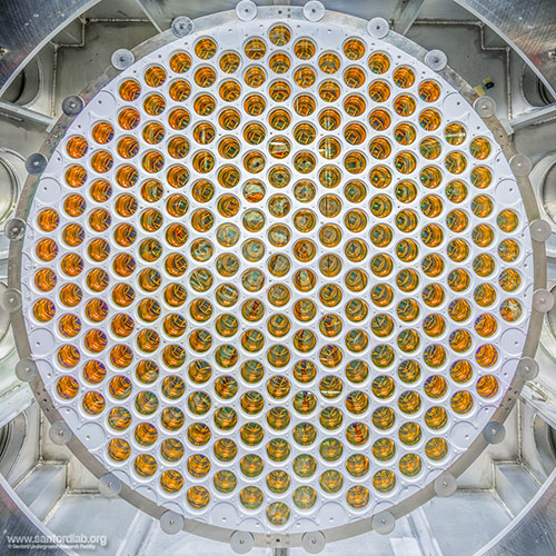 cross-section view tubes behind an orange lens