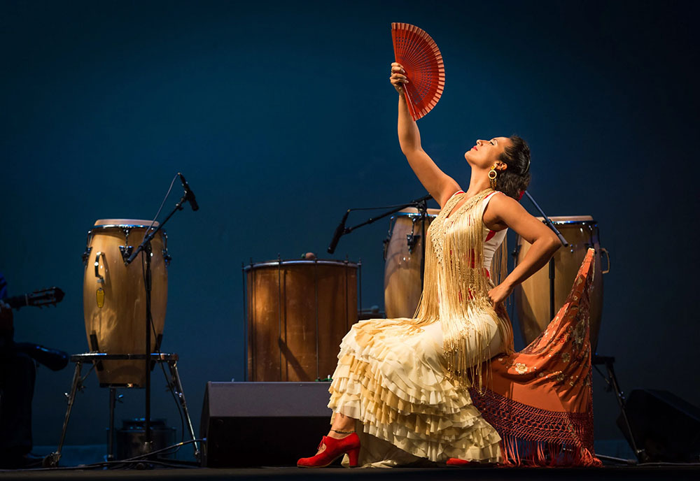 Barbara Martinez of Sol y Sombra Spanish Dance Company performing on a stage