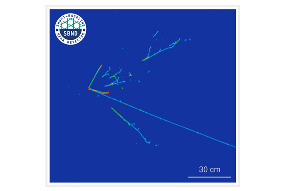 muon neutrino interaction