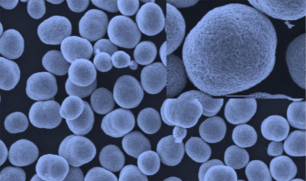 scanning electron microscope image