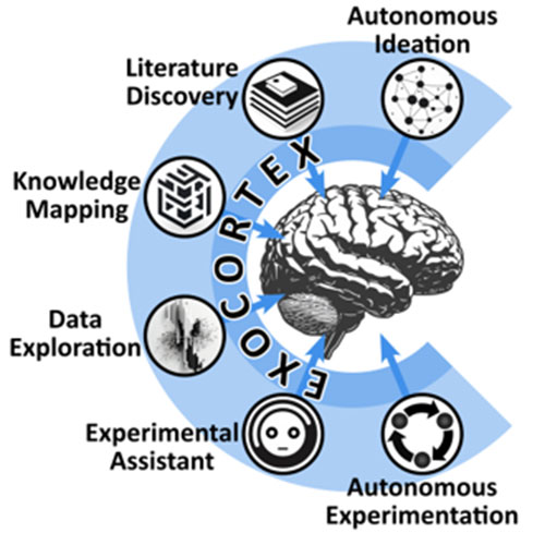 Exocortex