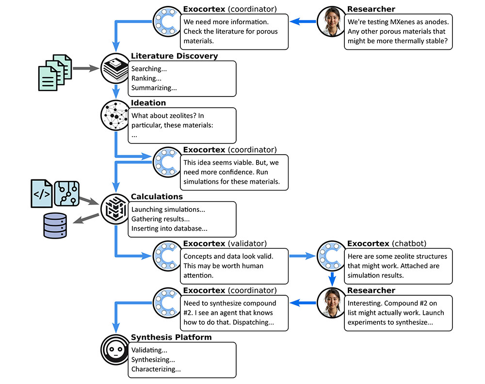 Exocortex diagram