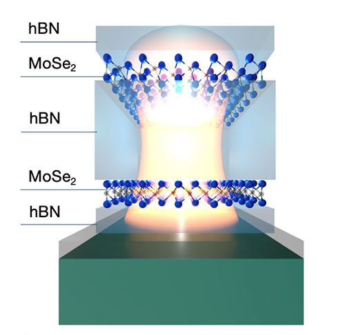 Schematic representation of the TMD nanocavity. Two atomically thin MoSe<sub>2</sub> mirrors embedde