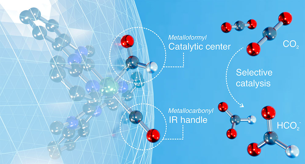 A graphic showing how ligands (circled) attached to the metallic (green sphere) center of a catalyst