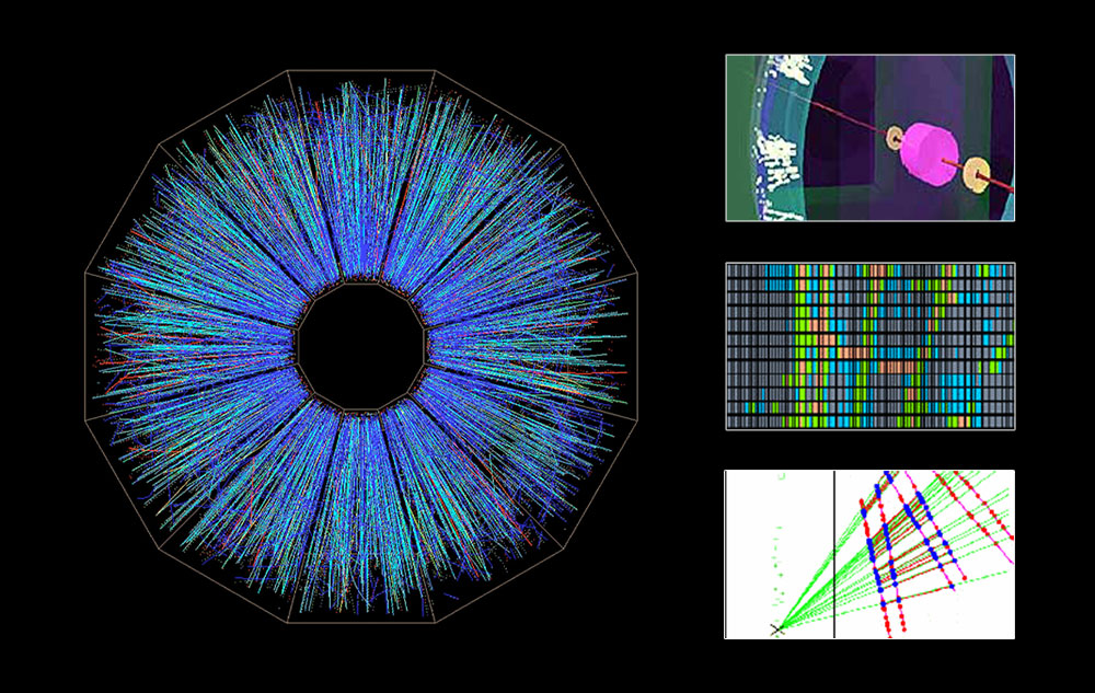 RHIC collision captures