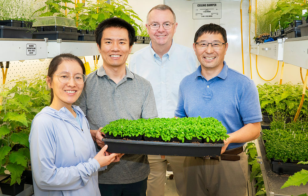 Lijun Qiao, Xianhai Zhao, John Shanklin, and Chang-Jun Liu