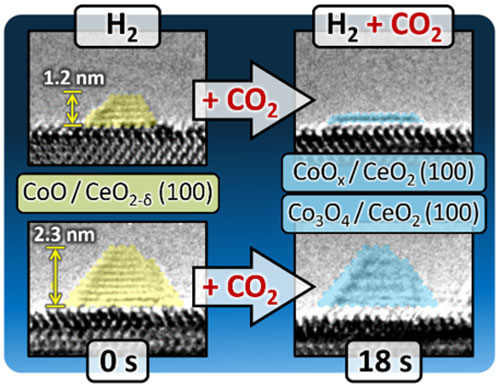 E-TEM images showing the effect of CO<sub>2</sub> on<br /> CoO NPs dispersed on CeO<sub>2</sub> at 2