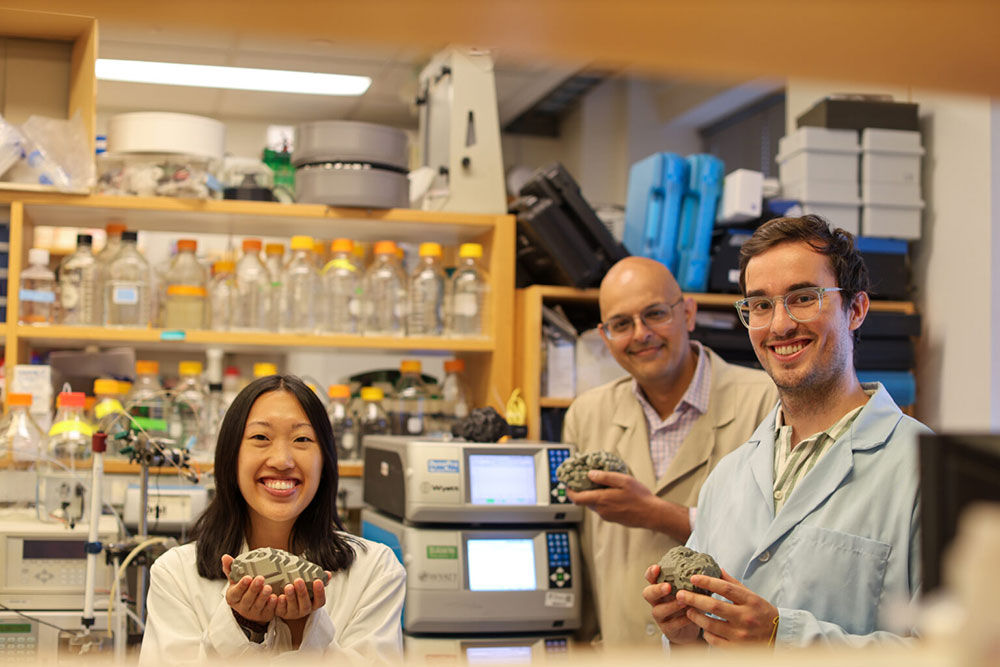 Hannah Yamagata, Kushol Gupta, and Marshall Padilla holding 3D-printed models of nanoparticles