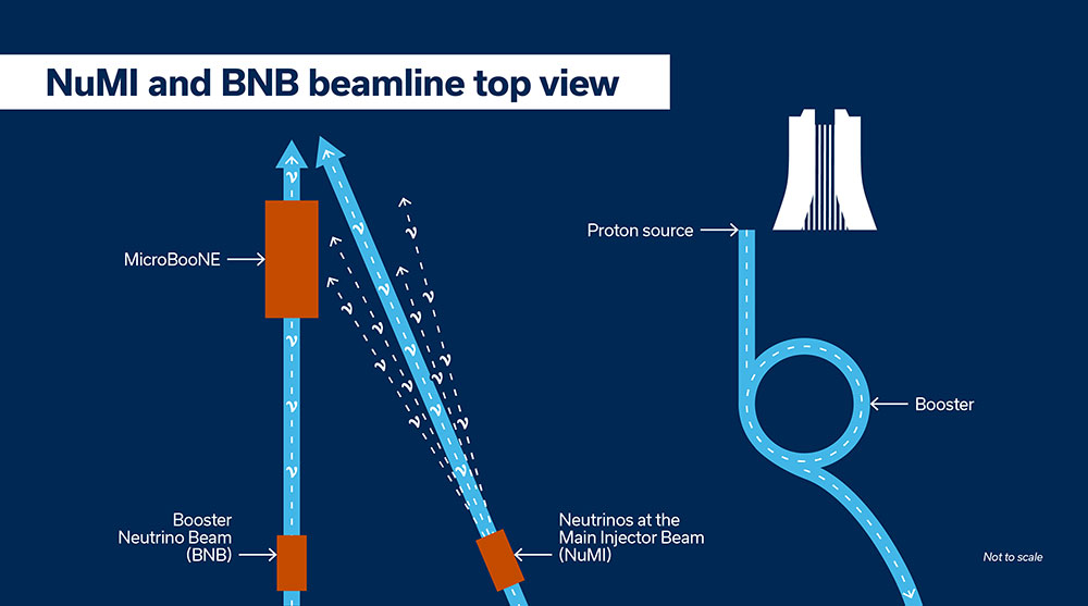 NUMI and BMB beamline top view