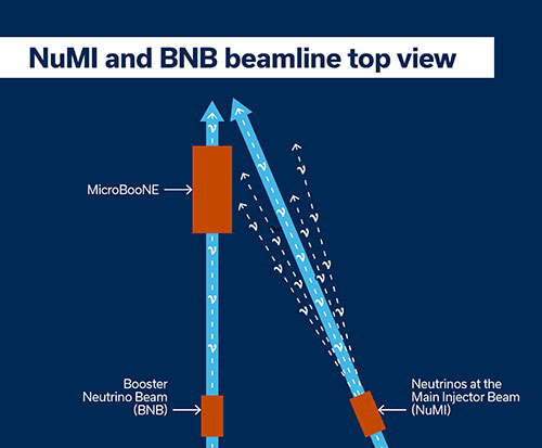 NuMI and BNB beamline top view schematic