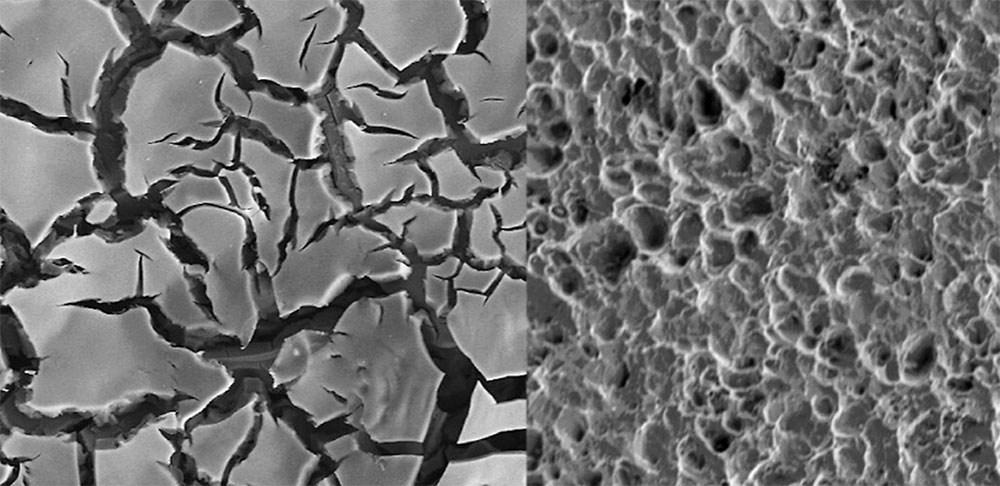 Scanning electron microscopy images