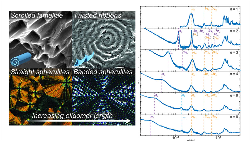 Scanning electron micrographs and X-ray scattering profiles